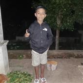 Hầu 