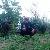 Hợp 