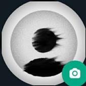 Cá 