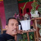 Trực