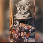 Han
