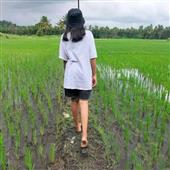 Bảng