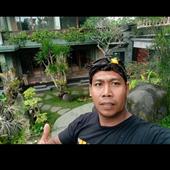 Pin