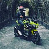 đội 