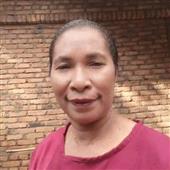 Cỏ 