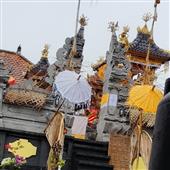 Trự