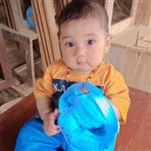 Số g