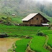 Thầ