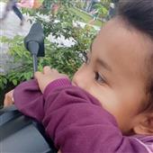 Trự