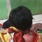 Kết 