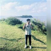 Luật