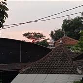 RỒN