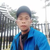 Dự đ