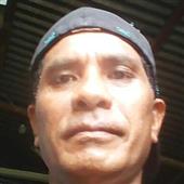 Quy