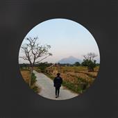 Vị 