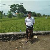 đườn