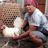 Nhậ