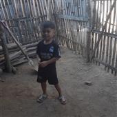 Băng