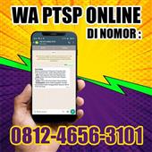 TỶ P