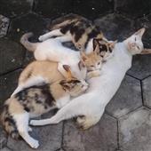 Năm 
