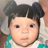 Vận 
