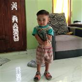 Giả