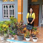 Chiế