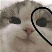 Bùa 