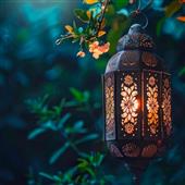 Nữ H