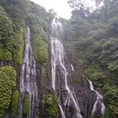 Nữ C