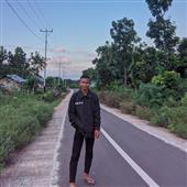 Trực