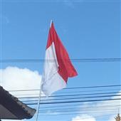 Nhi