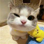 777