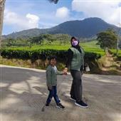 Vua 