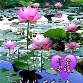 Chấp