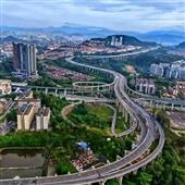 Cáo