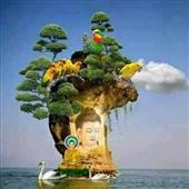 Tỷ l