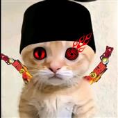 Kích