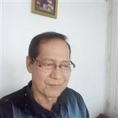 Mắt