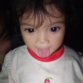 Đổ x