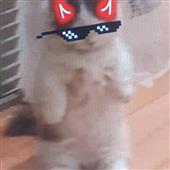 Bàn 