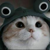 Ngũ 