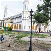 Trực