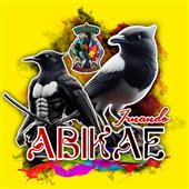 Avat