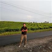 Bản