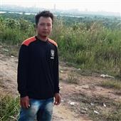 Dự đ