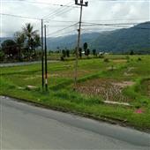 Dự đ