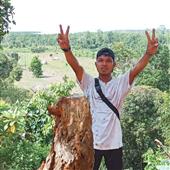 Dạo