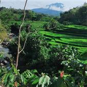 Kết 