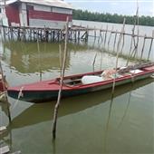 Trực